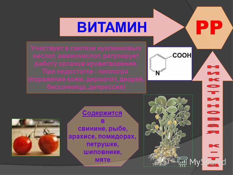 Витамин рр презентация