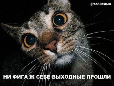 1341930212_prikolnie_kartinki_pro_raboty_62_799-17