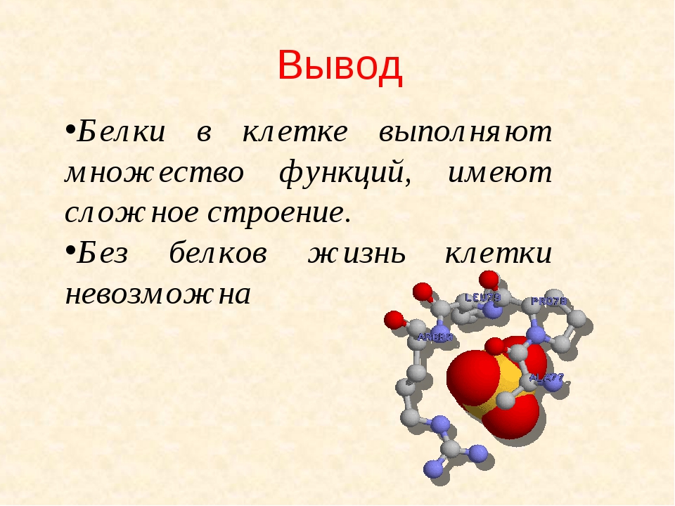 Презентация про белки по биологии