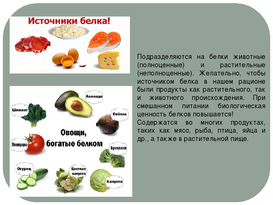 В овощах есть белки. Источники белков животного происхождения. Продукты содержащие белки растительного и животного происхождения. В чем содержится белок растительного происхождения. Растительные источники белка.