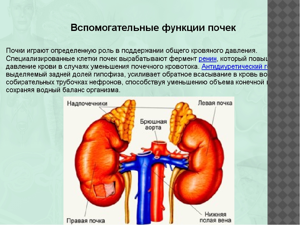 Восстановление функций организма