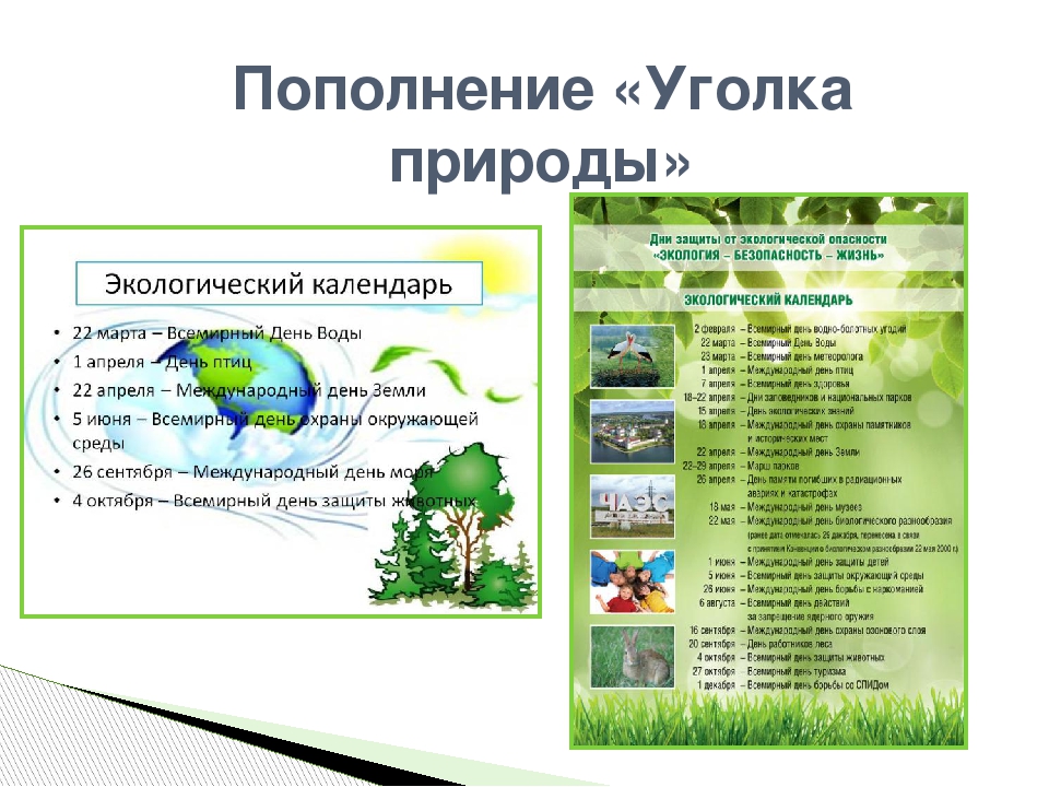 Презентация 2 класс экологический календарь перспектива