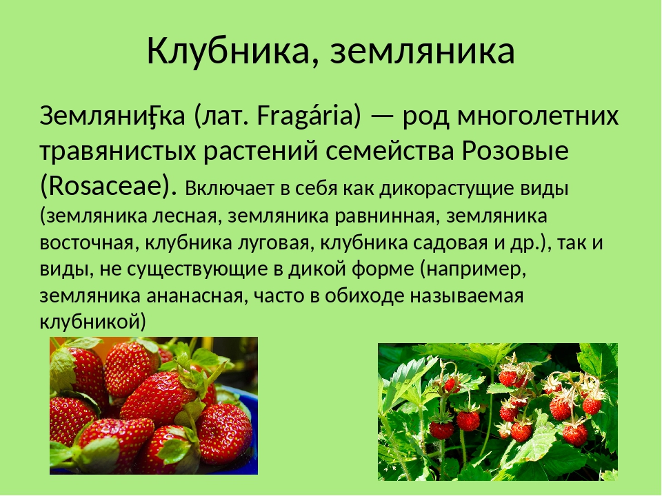 Презентация про культурные растения