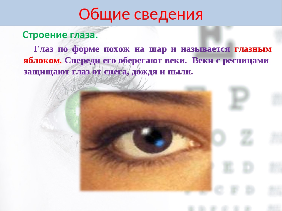 Зрения написал. Берегите зрение презентация. Береги зрение смолоду. Берегите зрение презентация для детей. Береги зрение глаза презентация.