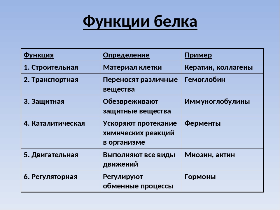 Схема функции белков