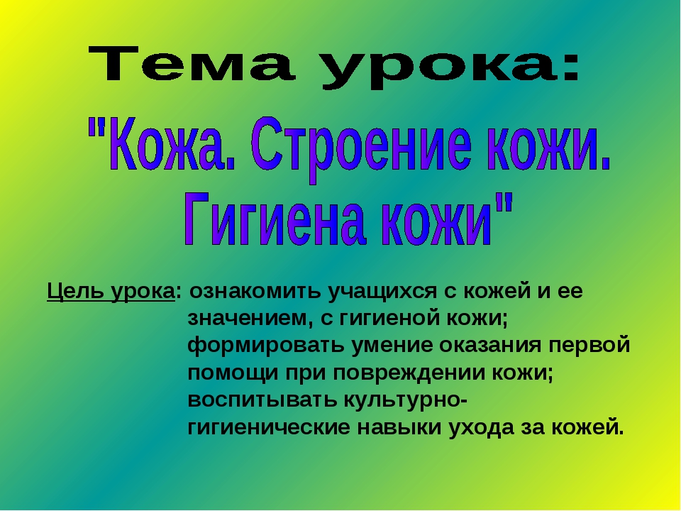 Кожа 3 класс окружающий мир. Кожа презентация. Сообщение о коже. Окружающий мир 3 класс тема кожа.