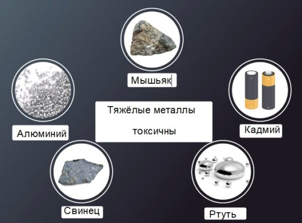 Тяжёлые металлы опасны