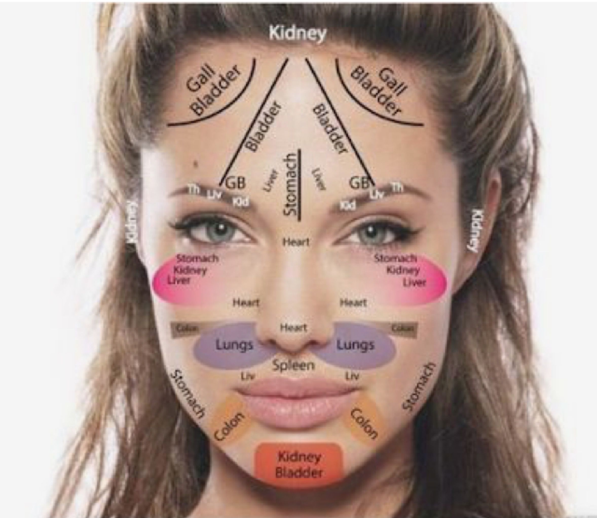 Прыщики на лице что означают. Зоны лица и внутренние органы. Зоны прыщей на лице. Прыщи на лице по зонам. Зоны органов на лице.