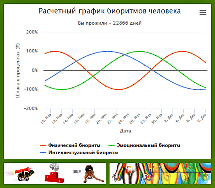 Биоритмы в жизни человека презентация