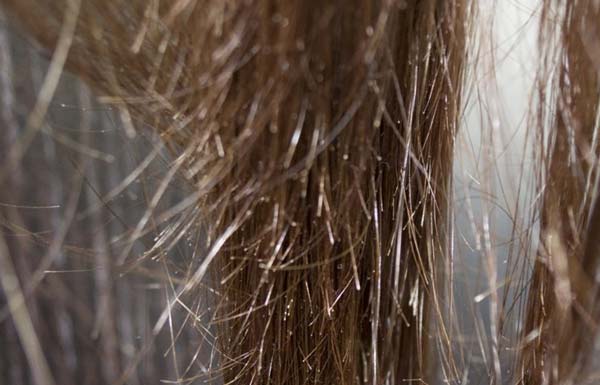 Почему волосы зимой растут медленнее