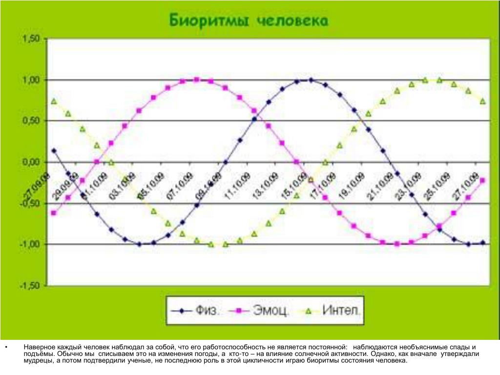 Типы биоритмов схема