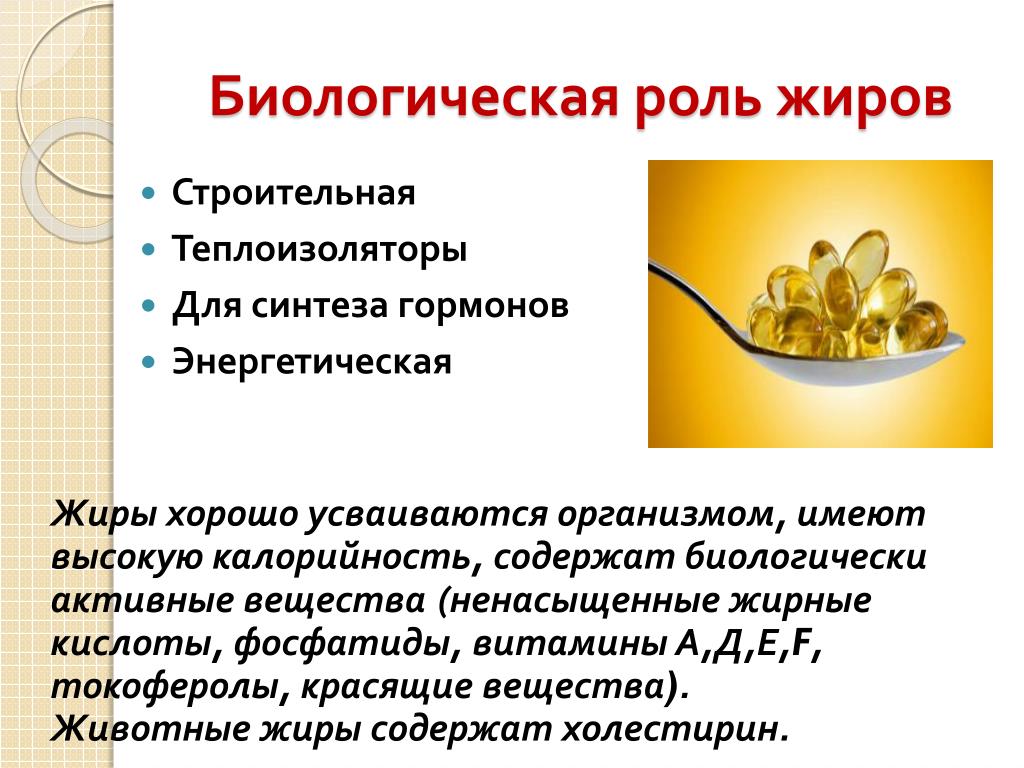 Значение жиров в организме