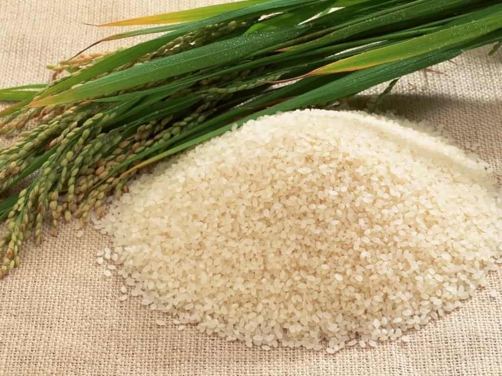 Рис и трава
