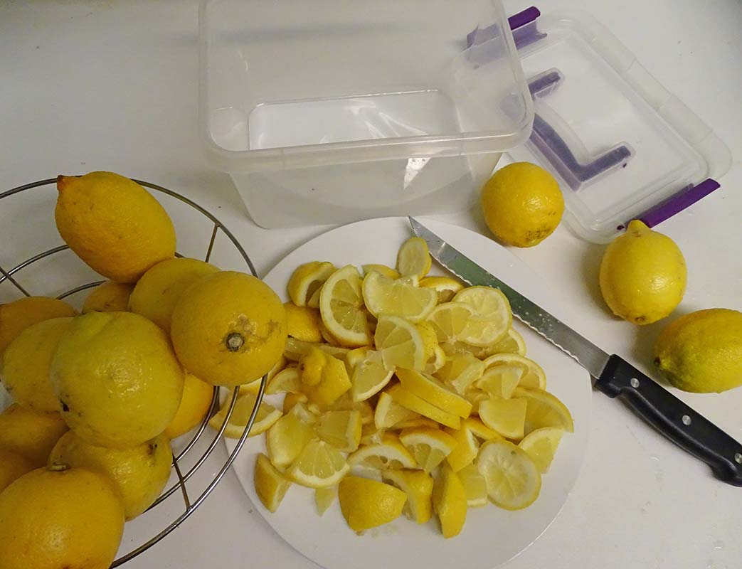 Как сохранить лимон в холодильнике