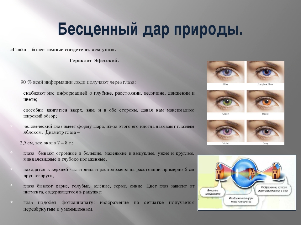 Информация через зрение. Интересные сведения о глазе. Интересные темы о глазах. Зрение человека. Интересные факты о глазах.