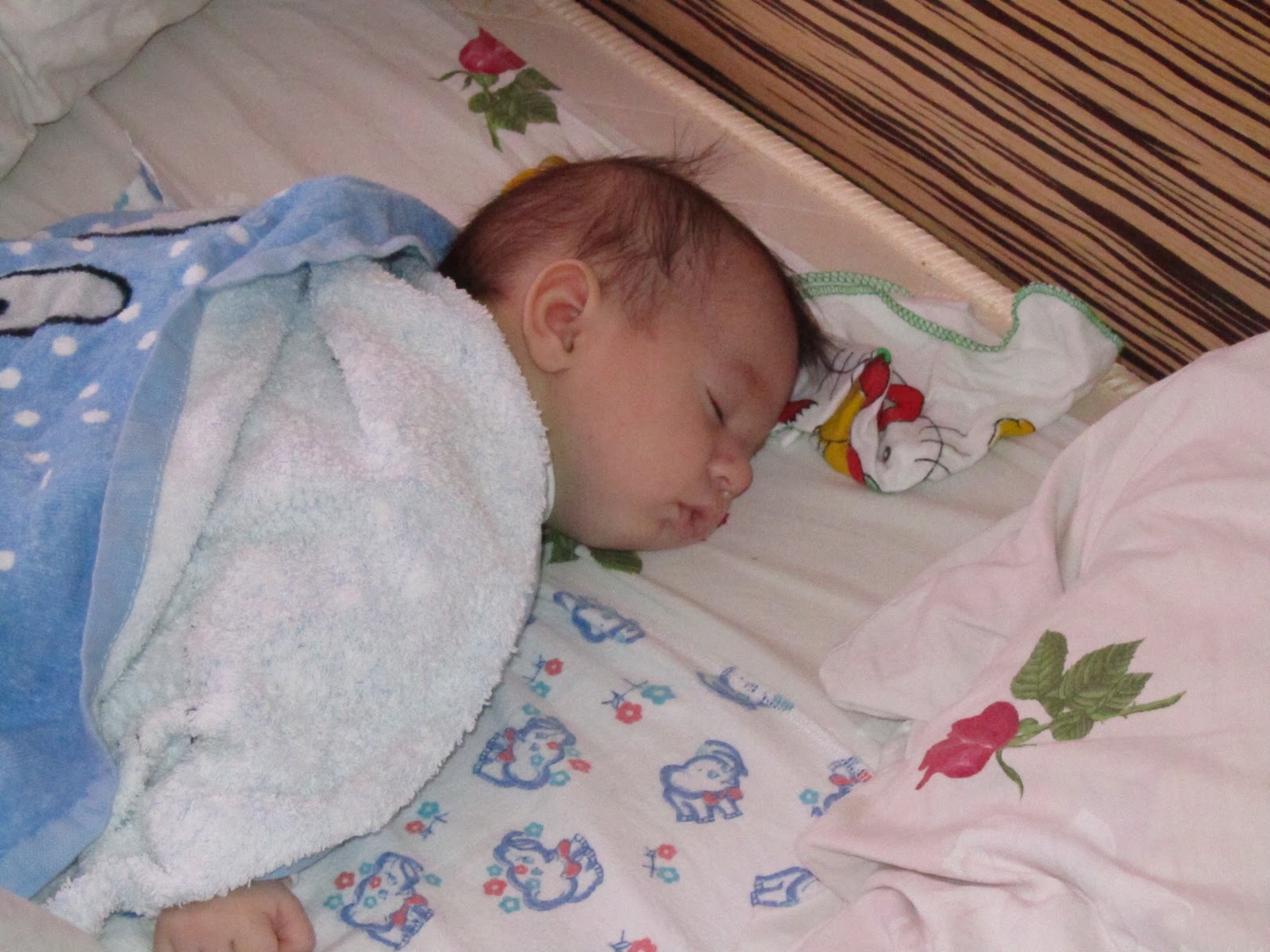 Новорожденный мальчик форум. Новорожденные дети. Ребенок в кроватке. Фото новорожденных младенцев. Новорожденный ребенок в кроватке.