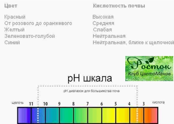 Как уменьшить кислотность из салата