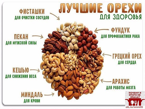 Какие витамины есть в орехах. Витамины в орехах. Самые полезные орехи. Витамины содержащиеся в орехах. Какие орехи самыеполезгын.