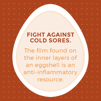 Eggshells Provide an Anti-Inflammatory Resource for Treating Cold Sores